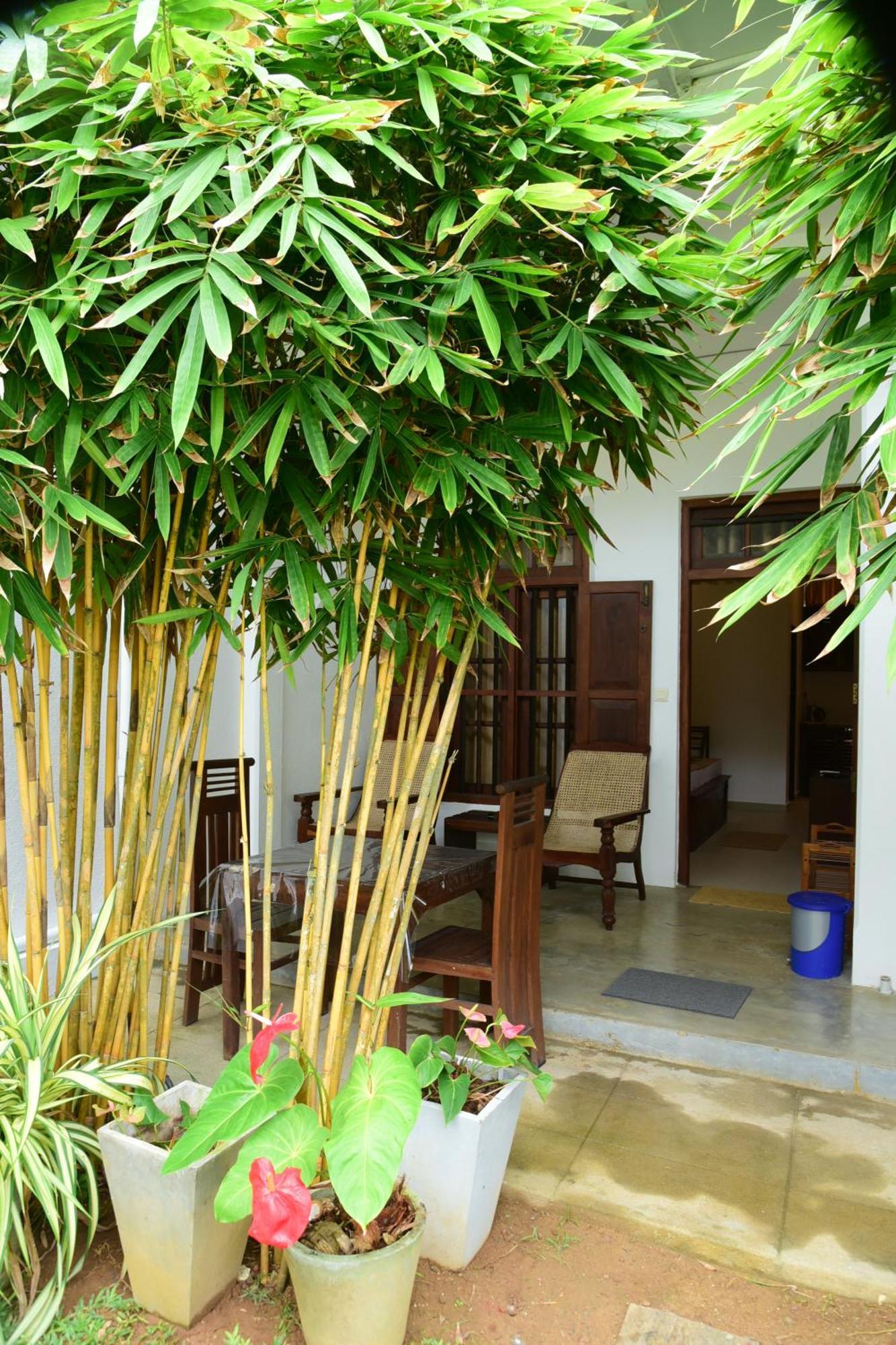 Tranquil Hotel Hikkaduwa Eksteriør billede